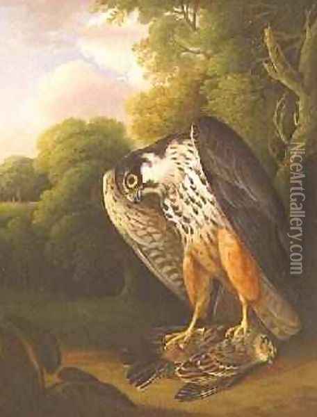 A Hobby Hawk and Prey shot at Buxton, 1812 Oil Painting - Robert Wilkinson Padley