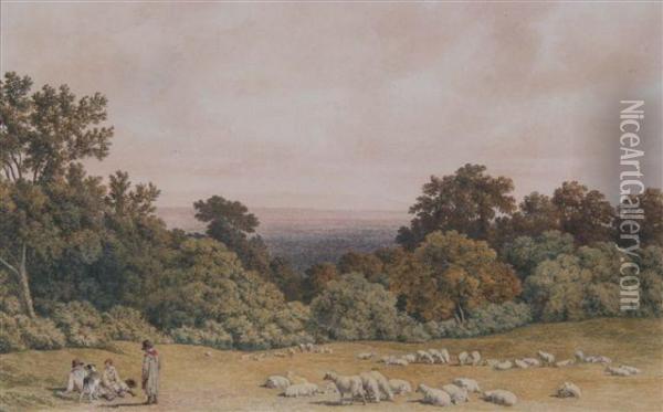 Sheep Grazing In An Extensive Landscape Oil Painting - Robert Hills