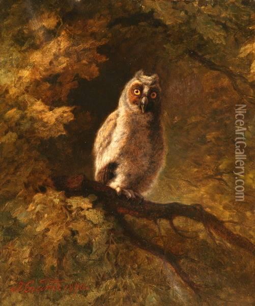 The Owl In The Forest Oil Painting - Johann Grund