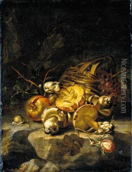 Still Life Of Mushrooms, A Pomegranate, A Rose, A Snail And A Basket Of Grapes In A Landscape Oil Painting - Angelo Maria Rossi