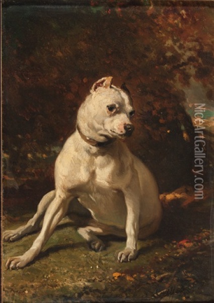 Sitzende Dogge Oil Painting - Alfred De Dreux
