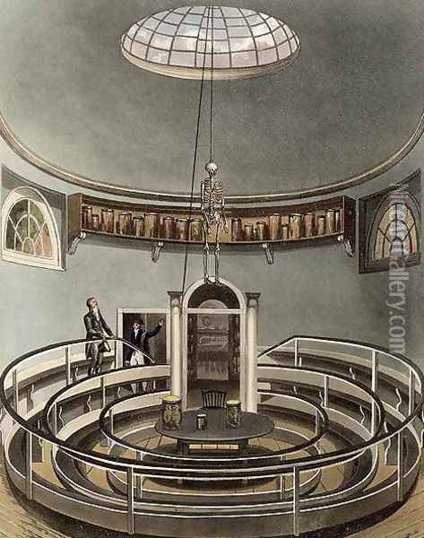 Interior of the Theatre of Anatomy, Cambridge, from The History of Cambridge, engraved by Joseph Constantine Stadler fl.1780-1812, pub. by R. Ackermann, 1815 Oil Painting - Augustus Charles Pugin