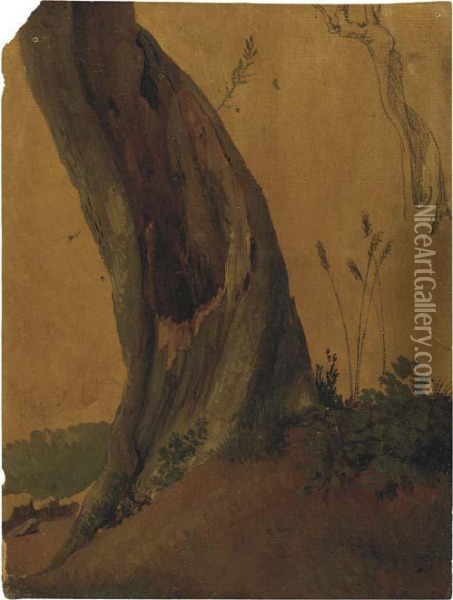 Un Tronc D'olivier, Avec Une Etude Subsidiaire Oil Painting - Simon-Joseph-Alexandre-Clement Denis