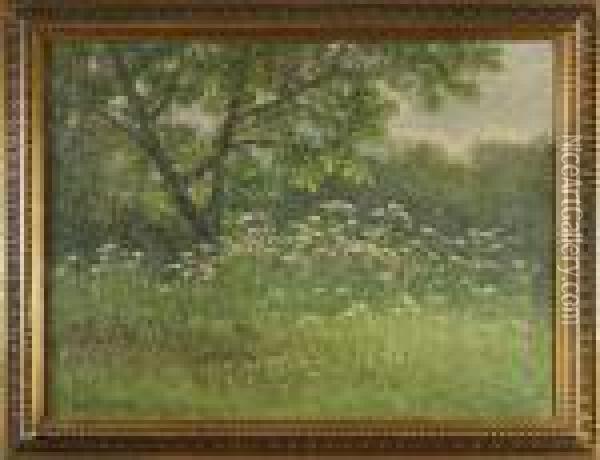 Blomstrande Landskap Oil Painting - Severin Nilson