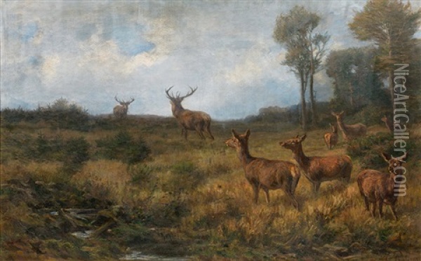 Herd Of Stags On A Forest Glade Oil Painting - Franz Xaver von Pausinger