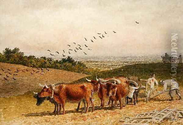Oxen Ploughing a Downland Field Oil Painting - Robert Hills