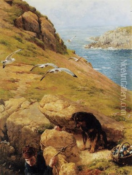 The Gull Catcher Oil Painting - James Clarke Hook