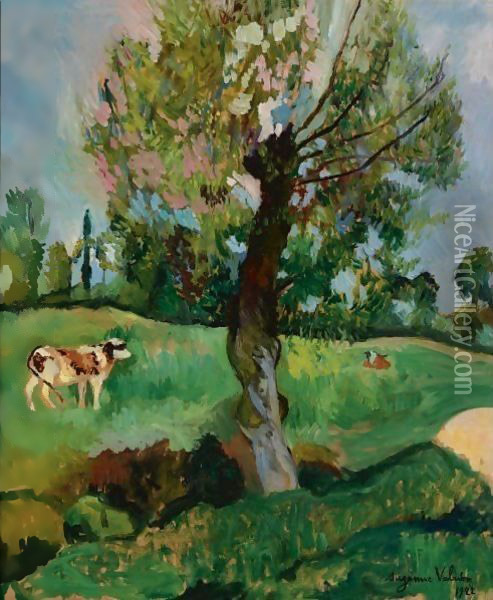 L'Aulne Dans La Prairie Oil Painting - Suzanne Valadon