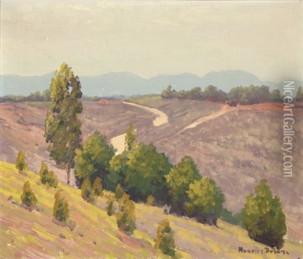 Grey Day, California Hillside Landscape Oil Painting - Maurice Braun