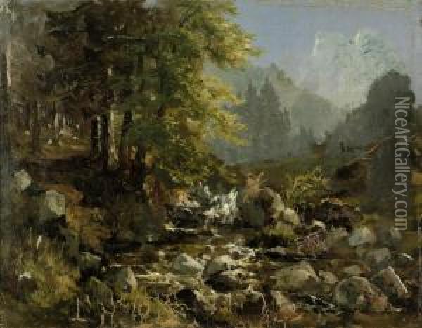 Harzlandschaft Mit Wildbach Oil Painting - Christian Tunica