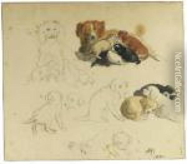 Studies Of Puppies With A Dog Oil Painting - Henriette Ronner-Knip