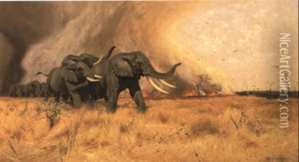 Elephants Moving Before A Veldt Fire Oil Painting - Wilhelm Friedrich Kuhnert