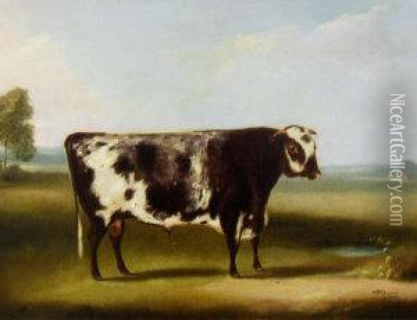 Portrait Of A Cow Oil Painting - William Henry Davis