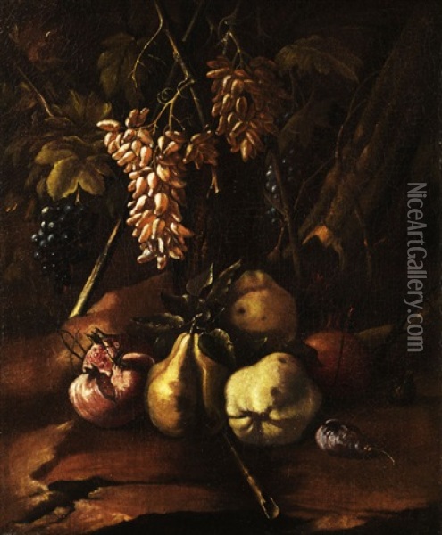 Fruchtestilleben Oil Painting - Michelangelo Cerquozzi