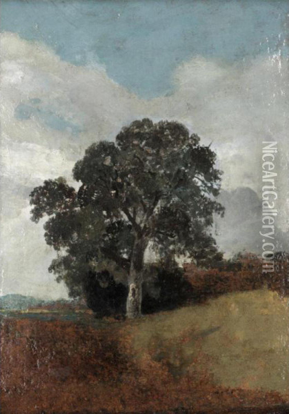 Study Of A Tree Oil Painting - Lionel Constable