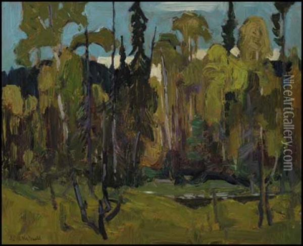 Open Bush, Algoma Oil Painting - James Edward Hervey MacDonald