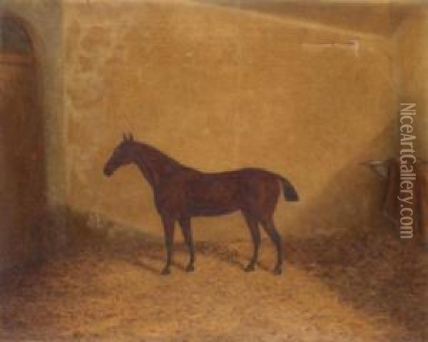 Bay Hunter In A Stable Oil Painting - James Senior Clark