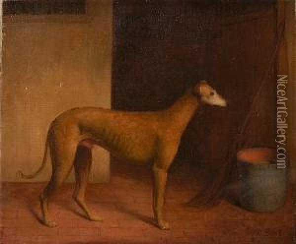 Portrait Of A Greyhound Oil Painting - William Wackenbath Short