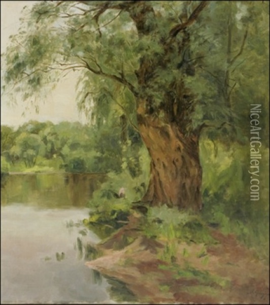 Vanha Puu Rannassa (an Old Tree By The Water) Oil Painting - Mariya Alekseeva Fedorova