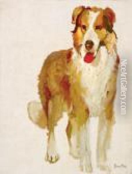 Study #36 [collie Dog] Oil Painting - W. Herbert Dunton
