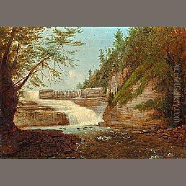 View Of High Fall, Trenton Falls Oil Painting - John Carlin