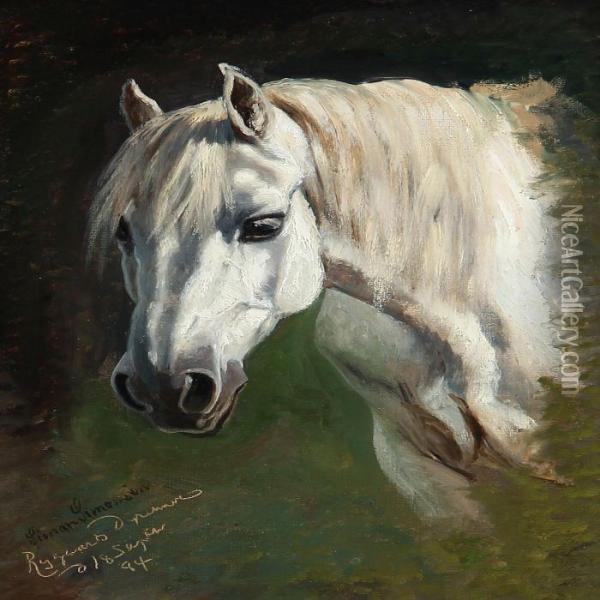 A White Arabian Horse In Dyregaard's Garden Oil Painting - Simon Simonson