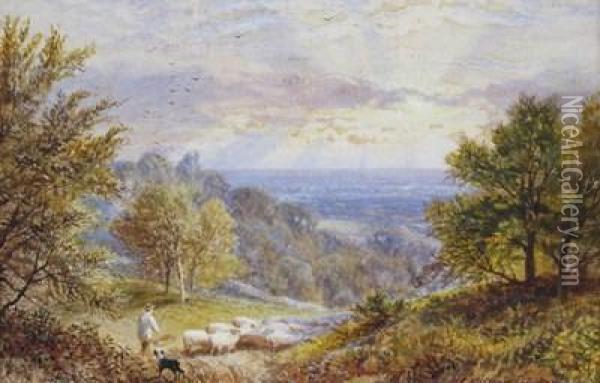 A Shepherd And His Flock On A Hillside Oil Painting - Alfred Augustus Glendenning