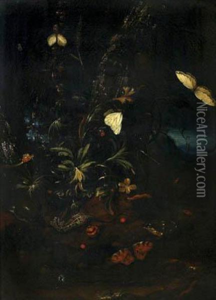 Still Life With Insects And A Flower Oil Painting - Caspar Hirscheli