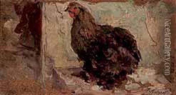 Gallinella Oil Painting - Federico Andreotti