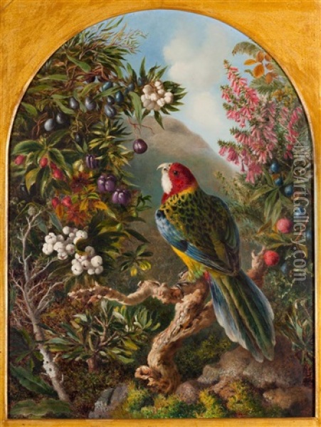 A Native Bird With Mountain Berries And Native Flora, Backed By Mount Wellington Oil Painting - Florence Williams