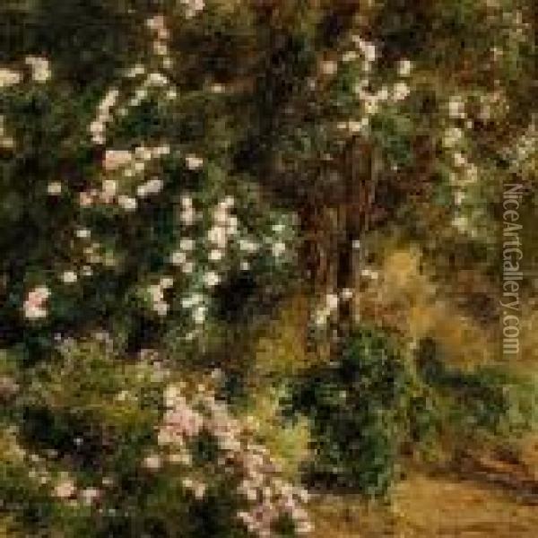Roses In Bloom In The Garden Of Villa D'este Oil Painting - Janus Andreas La Cour