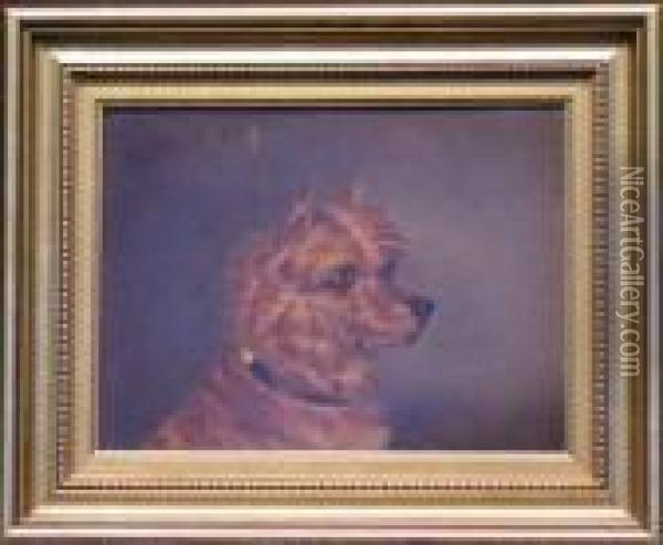 Head Of A Norwich Terrier Oil Painting - Of John Alfred Wheeler