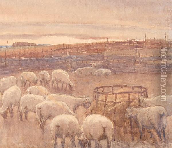 Sheep In A Landscape Oil Painting - Cecil Ross Burnett