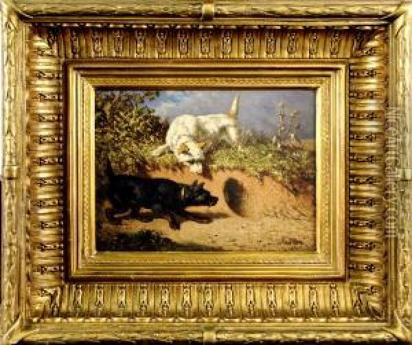 L'entree Du Terrier Oil Painting - Vincent de Vos