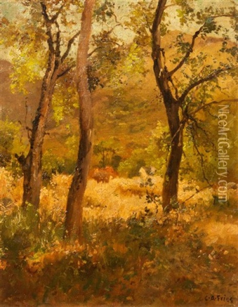 Wooded Landscape Oil Painting - Charles Arthur Fries