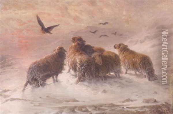 Sheep On A Snowy Mountainside Oil Painting - August Friedrich Albrecht Schenck