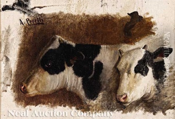 Study Of Two Cows Oil Painting - Achille Peretti