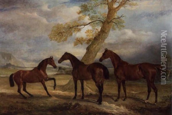 Three Of Lord Rokeby's Hunters At Grass Oil Painting - John E. Ferneley