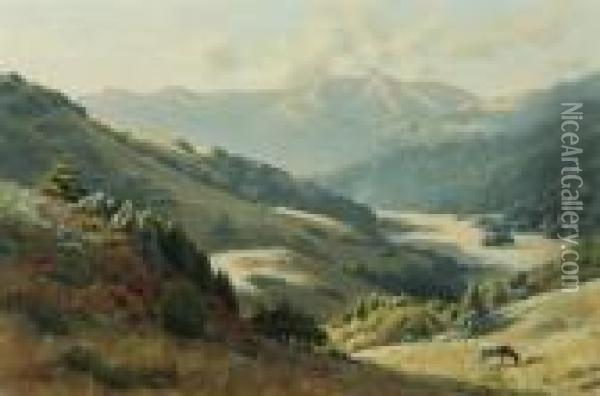 Pastoral Splendor, Cattle Along A Marin Hillside Oil Painting - Ludmilla P. Welch