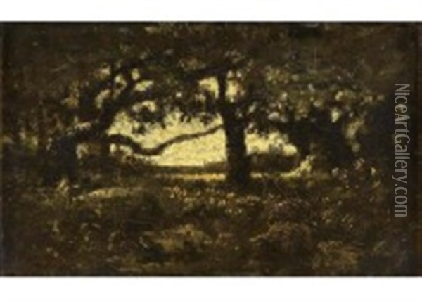 Sous Bois Oil Painting - Theodore Rousseau