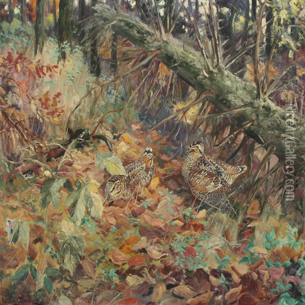 Woodcock In The Forest Floor Oil Painting - William Gislander