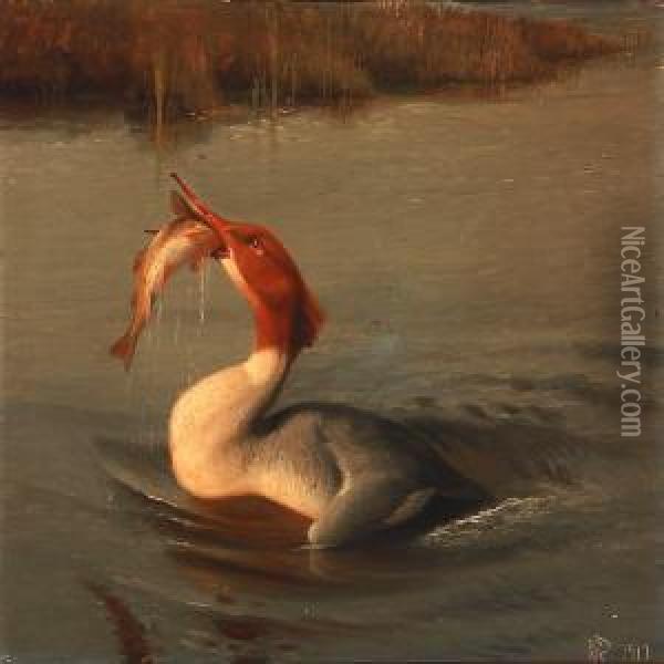 Merganser With A Fish Oil Painting - Niels Peter Rasmussen