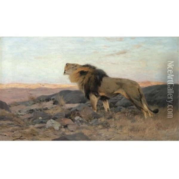 Brullender Lowe In Steiniger Steppe (a Roaring Lion) Oil Painting - Wilhelm Friedrich Kuhnert