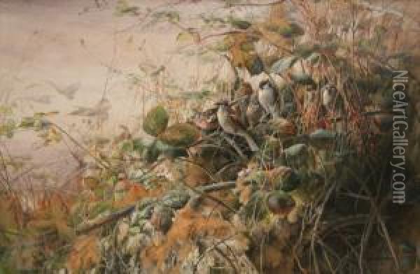 Sparrows And A Chaffinch Amongstbrambles Oil Painting - Charles Henry C. Baldwyn