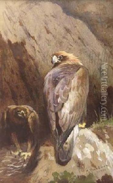 A Pair Of Golden Eagles Oil Painting - Archibald Thorburn