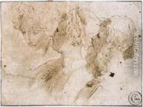 Three Studies Of Heads: A 
Bearded Man And A Woman, Seen In Profile, And A Second Woman Seen At 
Three Quarters Oil Painting - Jacopo Zanguidi, Called Jacopo Bertoija