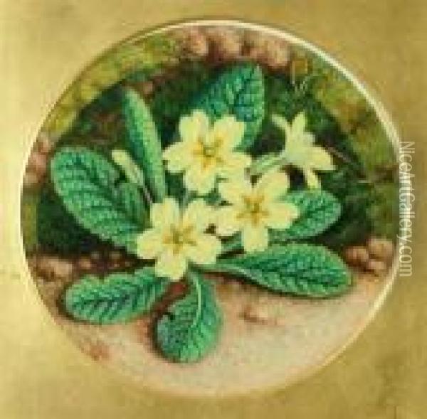 Primrose And Blossom Oil Painting - Oliver Clare