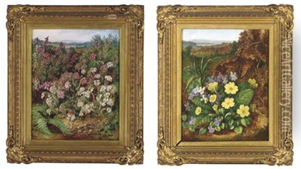Violets And Primroses In A Hedge (+ Red And White Heather; Pair) Oil Painting - Albert Durer Lucas