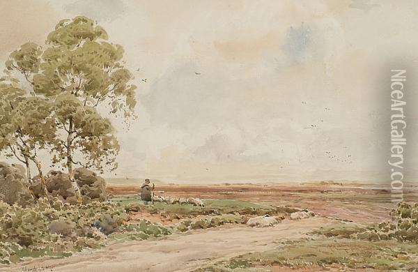 Near Lyndhurst, Hants Oil Painting - Claude Hayes