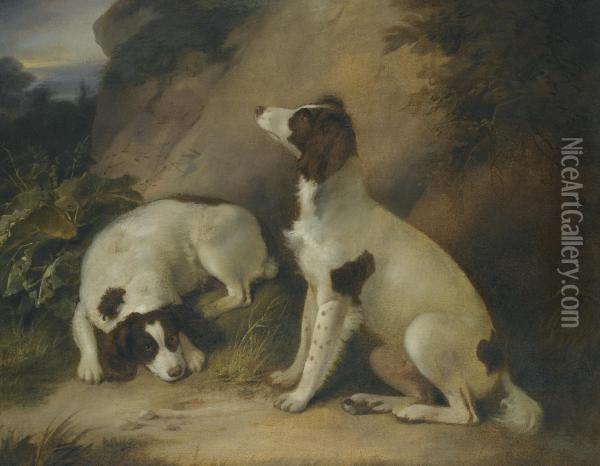 Two Springer Spaniels In A Rocky Landscape Oil Painting - Richard Livesay